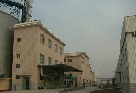 Corn Starch and Starch Sugar Production Line