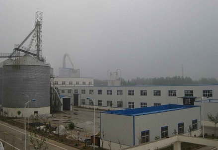 Corn Starch Production Line