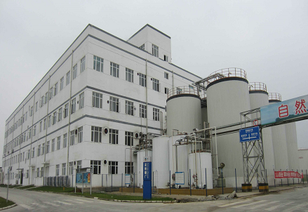 Corn Starch and Starch Sugar Production Line